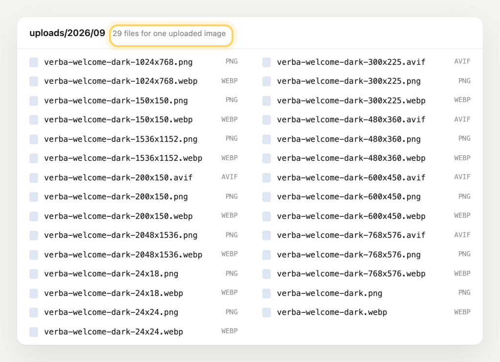 A list of 29 files in the uploads folder, all generated from one uploaded image.